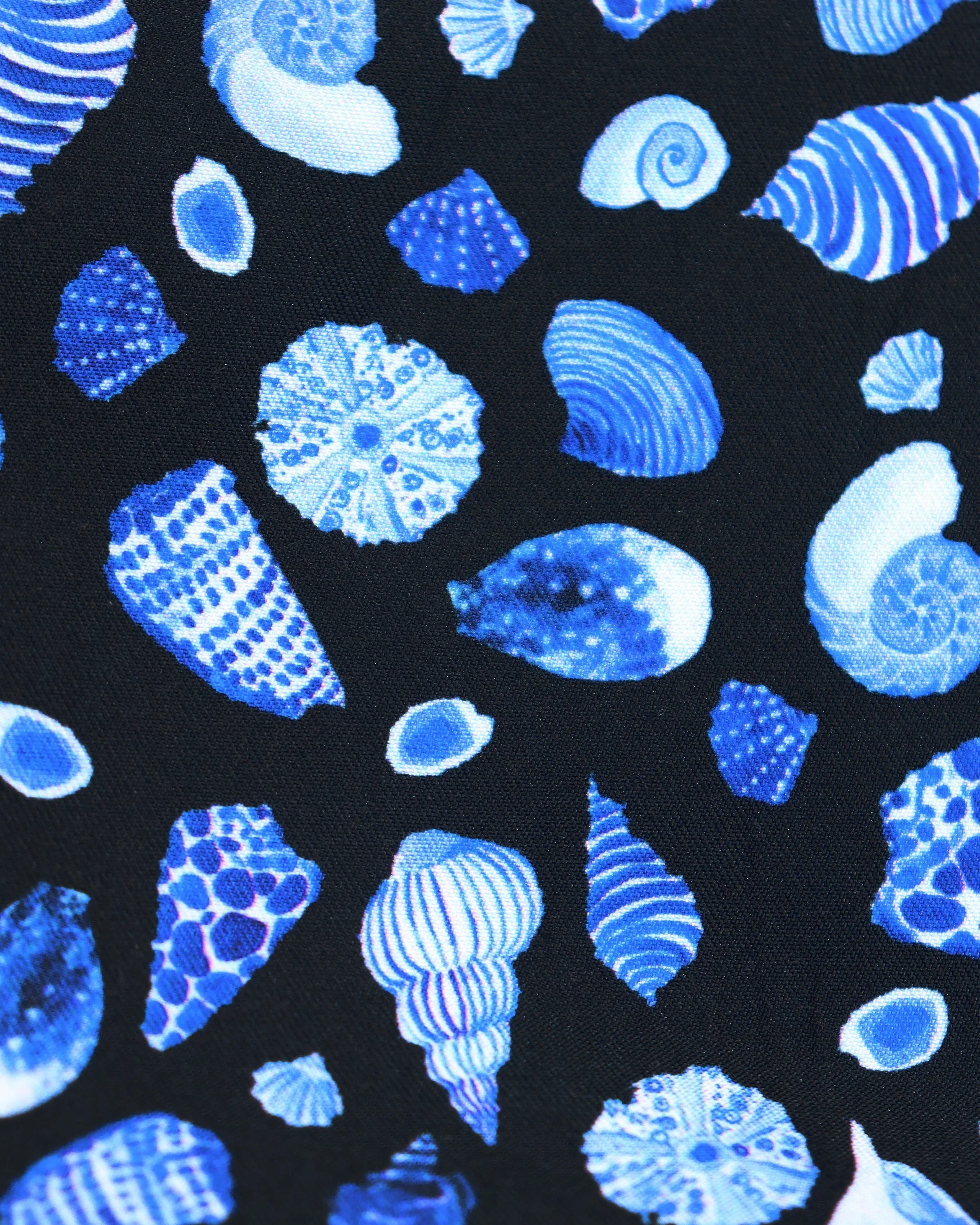 Black with Blue & White Seashells