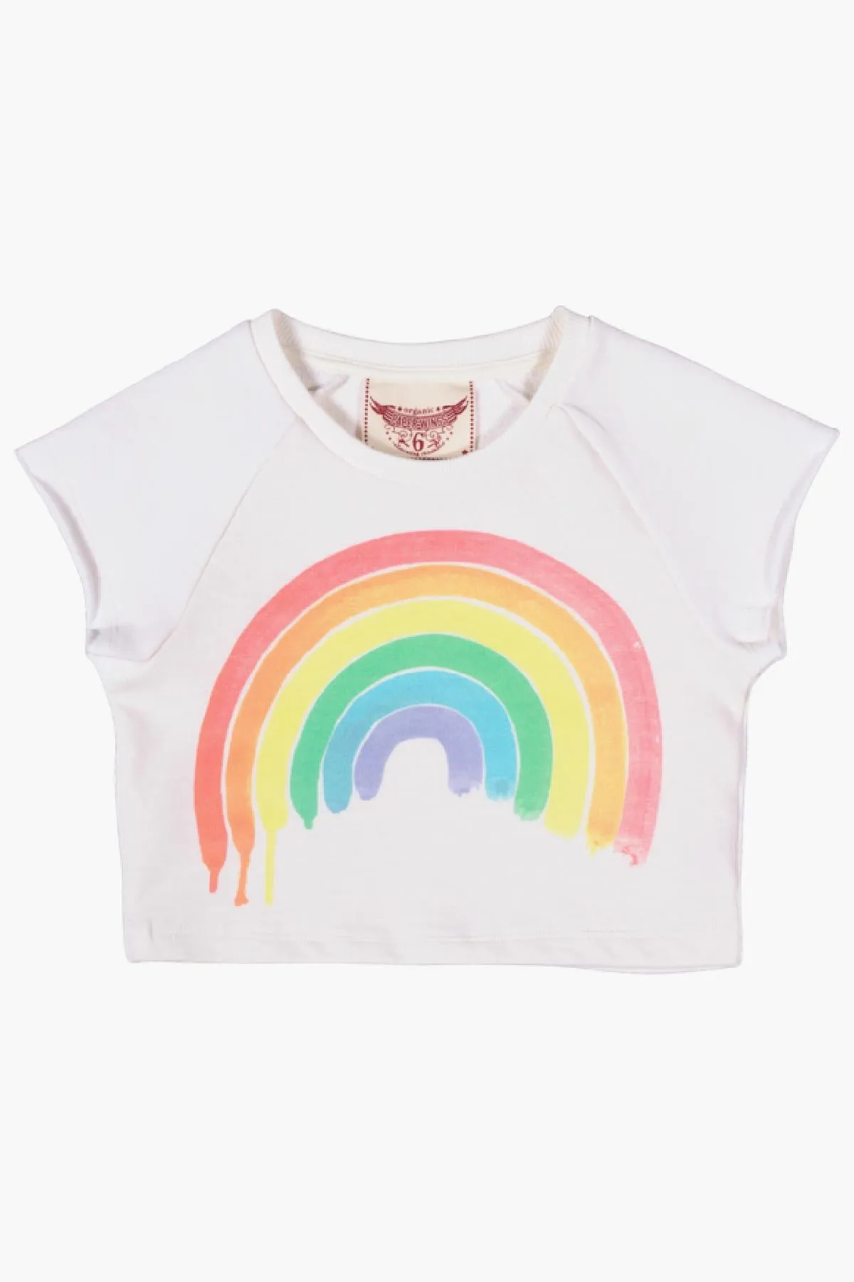 Paper Wings Cropped Rainbow Girls Terry Top (Size 3 left)